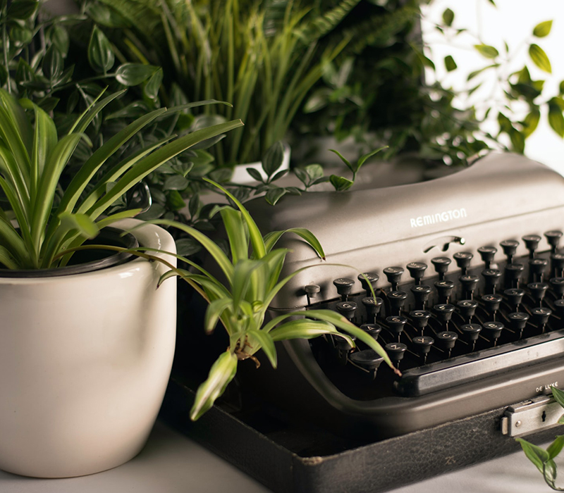 Giving A Green Thumb