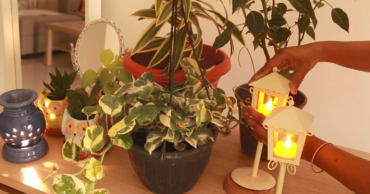 Master the Art of Entertaining Yourself